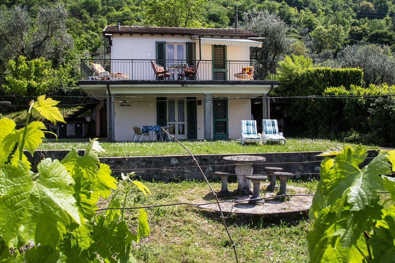 Pilzone Villa Florida App Pelikan Oben Und App Sandpiper Unten מראה חיצוני תמונה